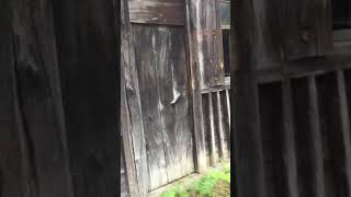 Trabzon, Of Asırlık Yayla Evi