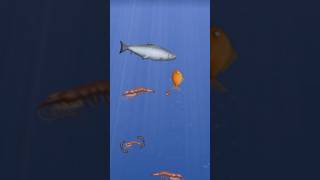 ये मछली कुढ कहा गई  || मछली वाला game ||  #fishgame  #trending #short