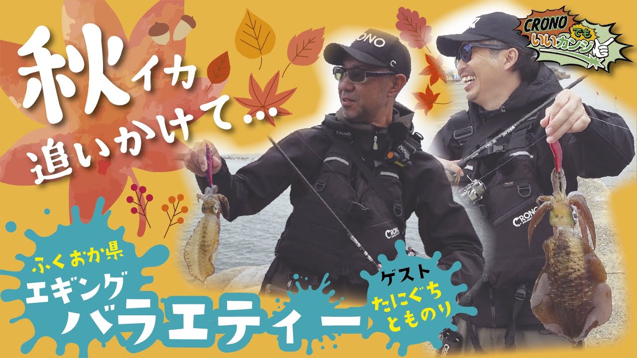【CRONOでもいいカンジ ⑨】エギングバラエティー！秋イカ追いかけて... in福岡県