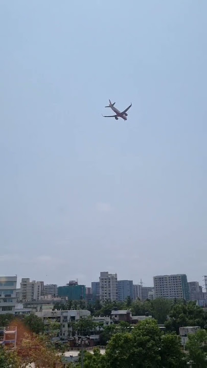 Very close, ek baar aur dekhna #bird  #justmiss #travel #trending #pushpa #life #flight