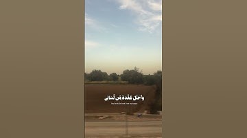 قال ربي اشرح لي صدري ويسر لي امري #قران_كريم #قرآن #راحة_نفسية #تلاوة_خاشعة #اكسبلور