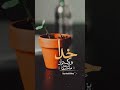 دردی داری غصه نخور چون خدا بزرگتر از دردهای ماست فقط کافیه بهش توکل کنی و ازش ناامید نشی