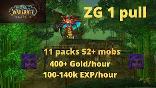 Classic WoW | Mage | ZG 1 PULL | Boosting 50-60