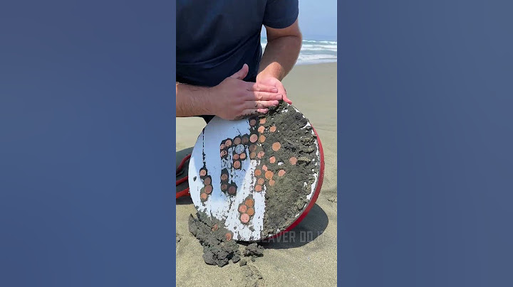 Treasure Hunt with My Giant Magnet! 🧲