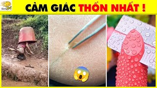 💧Nhanh Trí WOW 15 Video Triệu View Thỏa Mãn Người Xem Nhất ĐẾN MỨC BUỒN NGỦ