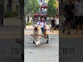こんなに賢くて心優しいワンちゃん、見たことありますか？ #動物