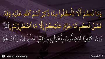 سوره انعام، آیه ۱۱۹