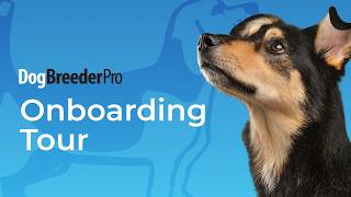 Datos Dog Breeder Pro - Onboarding Tour Noticias