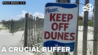 How Folly Beach's Dune Management Plan protects against flooding and supports ecosystems