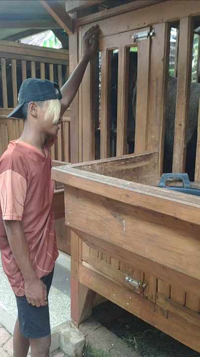Why Jambul Jrabang Spill Pacek Cengli Services