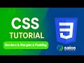 LEC 3 : Borders & Margins & Padding | الحدود و الازاحات الداخلية و الخارجية للعناصر 🎯