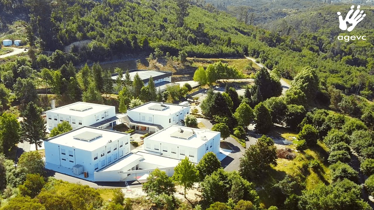 Escola Secundária de Vouzela | Oferta Formativa 2021/2022