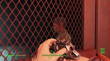 Fallout 4 glitch, fix?