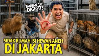 SIDAK RUMAH ISINYA HEWAN ANEH RATUSAN JUTA RUPIAH! GAK NYANGKA TANGANKU SAMPAI DIGIGIT! ANIMALLS!