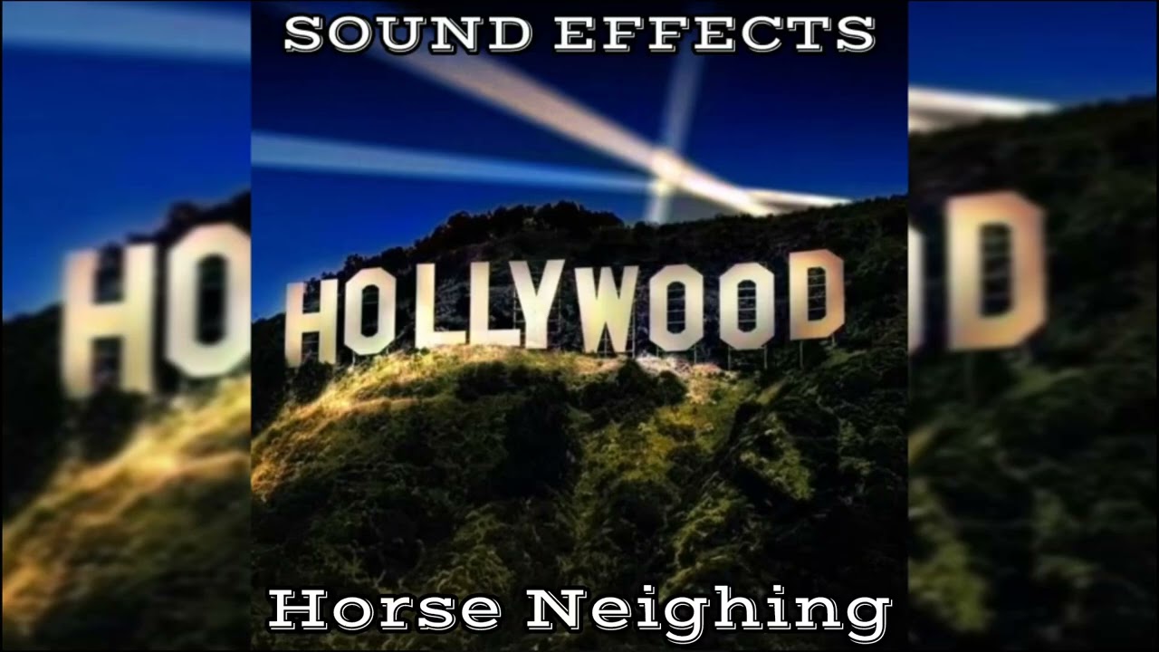 Horse Neighing | Sound Effects From Movies | Hollywood Sound Effects 