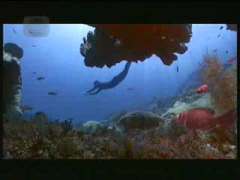 Indosiar Djarum Black