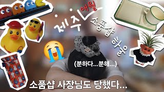 [소품샵하울] 모르는 사람이 바보되는 현실 😭 (제주 소품샵투어)