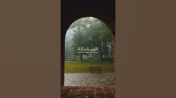 سورة آل عمران آیه۳۱ #quran #اكسبلور #تلاوات #لايك #ماهر_المعيقلي #تلاوة #راحة_نفسية #قرآن #قران_كريم