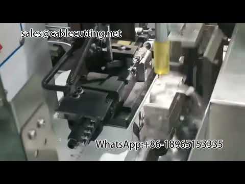 Double Head Tinning Machine - Multifunctional Tinning and Crimping Terminal Machine