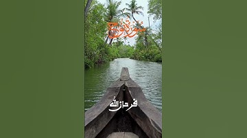 Surah Nuh (سورة نوح) | Beautiful & Soothing Tilawat | سورة نوح كاملة