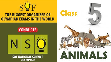 NSO National Science Olympiad Class 5 | Animals