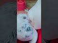 #pigeon #kabutaran #kabutarandekabdetehain #kabootarloft05 #vilogpigeon dekabdetehain
