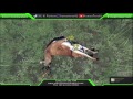 JS 動画写真6b