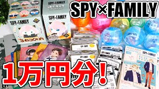 SPY×FAMILY】グッズ1万円分開封！「はぐキャラコレクション」「ふわ