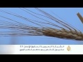 مليون سوري يهددهم خطر الجوع