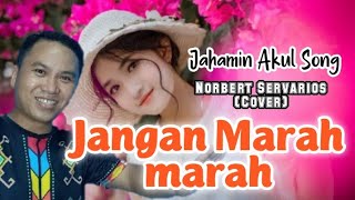 Hani jangan marah marah Jahamin Akul Song || Norbert Servarios (Cover)