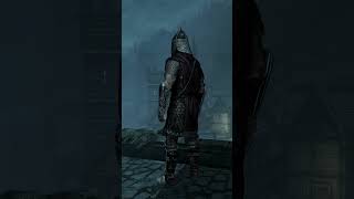 Solitude Guard (SKYRIM)