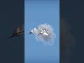 FA18 Hornet Missile Hit Eject Scene 💥🪂 #jet #sim #air #war #hit #sky #fly #dog