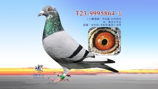 【尹培華】T23-9995864