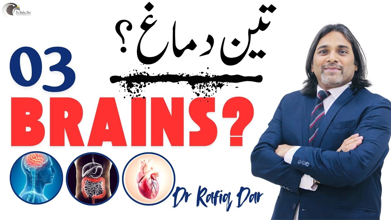 Three Brains? l Dr Rafiq Dar - YouTube