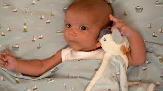 Little Dutch | Cuddle Cloth - Sailors Bay Blue screenshot 1