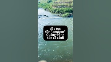 tiếp tục đến sông Quảng Đông câu cá cảnh #cauca #fishing #shortvideo #shorts