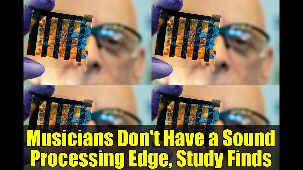 Musicians Don't Have a Sound Processing Edge, Study Finds