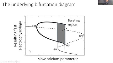 Video 10 Global bifurcations and chaos