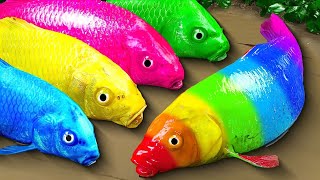 Stop Motion Cooking ASMR Colorful Koi Fish Cow, ikan & Big Frog 다채로운 잉어물고기 | 거대한 개구리 - 무지개 메기/ 스톱 모션