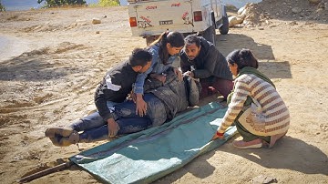 The Log Roll - Emergency Care Series