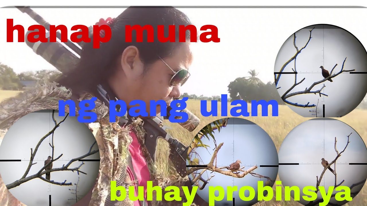 buhay adventure//sa probinsya//diskarte para makahanap//ng libring ...
