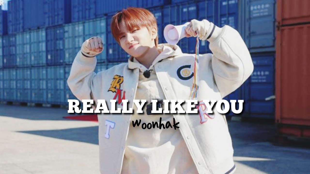 REALLY LIKE YOU | Woonhak [FMV]