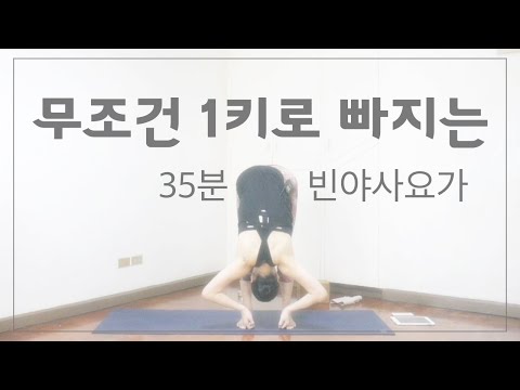 [EVA YOGA]무조건 1키로 빠지는 빈야사요가 <strong>Lv2</strong>