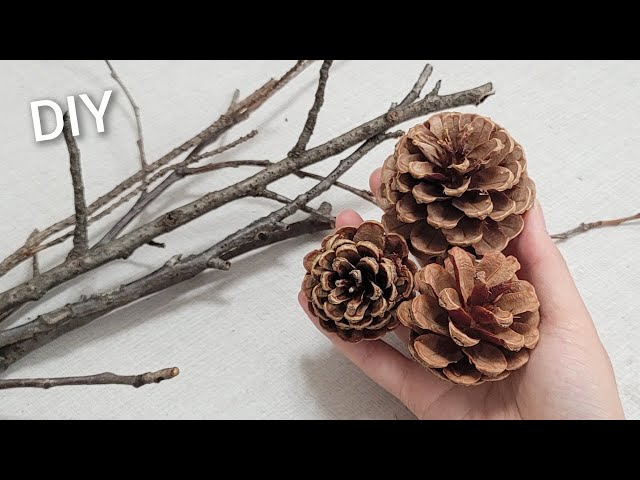 DIY Decoupage Colour-Block Pine Cones - The Crafty Gentleman