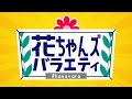 花ちゃんズバラエティ -日向坂46-