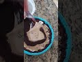 Homemade Ice Cream Pie