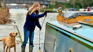 Our Off Grid Journey Just Got Different #227