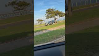 Man Spotted Walking Dog While Driving Car
