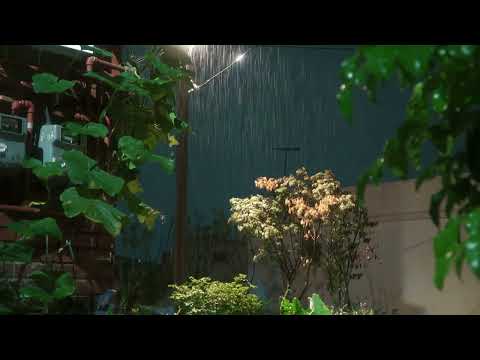 Nature's Lullaby: The Sound of Rain 깊은 잠에 빠지게 하는 한밤의 주택가 빗소리