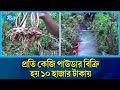        ginseng  narsingdi  rtv news